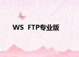 WS  FTP专业版
