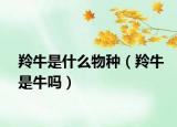 羚牛是什么物种（羚牛是牛吗）