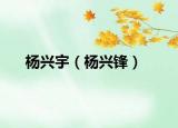 杨兴宇（杨兴锋）