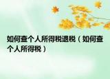 如何查个人所得税退税（如何查个人所得税）