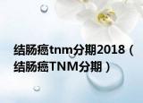 结肠癌tnm分期2018（结肠癌TNM分期）