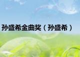 孙盛希金曲奖（孙盛希）