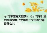 qq飞车宠物火麒麟（《qq飞车》里的绝版宠物飞火龙的三个形态分别是什么?）