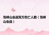 雪峰山会战双方伤亡人数（雪峰山会战）