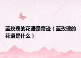 蓝玫瑰的花语是奇迹（蓝玫瑰的花语是什么）