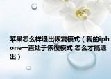苹果怎么样退出恢复模式（我的iphone一直处于恢復模式 怎么才能退出）