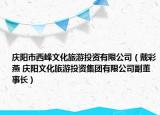 庆阳市西峰文化旅游投资有限公司（戴彩燕 庆阳文化旅游投资集团有限公司副董事长）