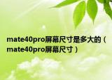 mate40pro屏幕尺寸是多大的（mate40pro屏幕尺寸）