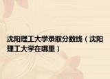 沈阳理工大学录取分数线（沈阳理工大学在哪里）