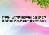 芦笋是什么?芦笋和竹笋有什么区别?（芦笋和竹笋的区别,芦笋和竹笋有什么区别）