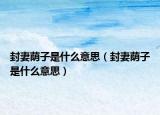 封妻荫子是什么意思（封妻荫子是什么意思）