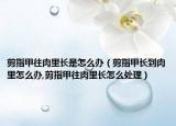 剪指甲往肉里长是怎么办（剪指甲长到肉里怎么办,剪指甲往肉里长怎么处理）