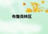 布鲁克林区