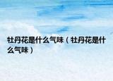 牡丹花是什么气味（牡丹花是什么气味）