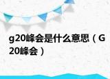 g20峰会是什么意思（G20峰会）