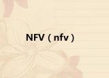 NFV（nfv）