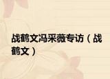 战鹤文冯采薇专访（战鹤文）