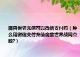 魔兽世界充值可以微信支付吗（肿么用微信支付充值魔兽世界战网点数?）