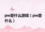 pw是什么游戏（pw是什么）