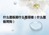 什么是板房什么是塔楼（什么是板凳狗）