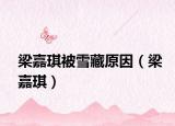 梁嘉琪被雪藏原因（梁嘉琪）