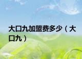 大口九加盟费多少（大口九）