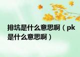 排坑是什么意思啊（pk是什么意思啊）