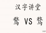 今日更新心无旁骛是什么意思（鹜和骛有什么区别）