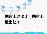 国有土地出让（国有土地出让）