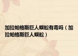 加拉帕格斯巨人蜈蚣有毒吗（加拉帕格斯巨人蜈蚣）