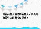 雪白的什么填词语的什么（雪白雪白的什么的填词有哪些）