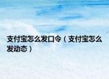 支付宝怎么发口令（支付宝怎么发动态）