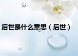 后世是什么意思（后世）