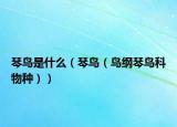 琴鸟是什么（琴鸟（鸟纲琴鸟科物种））