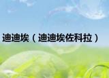 迪迪埃（迪迪埃佐科拉）
