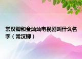 常汉卿和金灿灿电视剧叫什么名字（常汉卿）