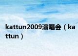 kattun2009演唱会（kattun）
