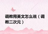 调教用英文怎么说（调教二次元）