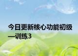今日更新核心功能初级—训练3