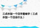 三点水加一个日字是啥字（三点水加一个日念什么）
