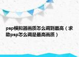psp模拟器画质怎么调到最高（求助psp怎么调是最高画质）