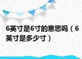 6英寸是6寸的意思吗（6英寸是多少寸）