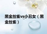 黑金丝雀vs小丑女（黑金丝雀）