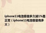 iphone11电池容量多久掉1%是正常（iphone11电池容量有多大）