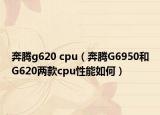 奔腾g620 cpu（奔腾G6950和G620两款cpu性能如何）
