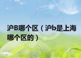 沪B哪个区（沪b是上海哪个区的）