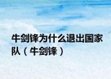 牛剑锋为什么退出国家队（牛剑锋）