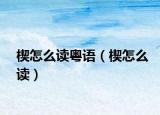 楔怎么读粤语（楔怎么读）