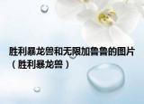 胜利暴龙兽和无限加鲁鲁的图片（胜利暴龙兽）