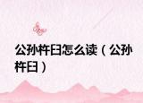 公孙杵臼怎么读（公孙杵臼）